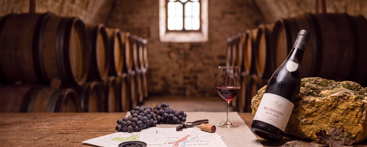 Bourgogne Rouge fra Domaine Borgeot