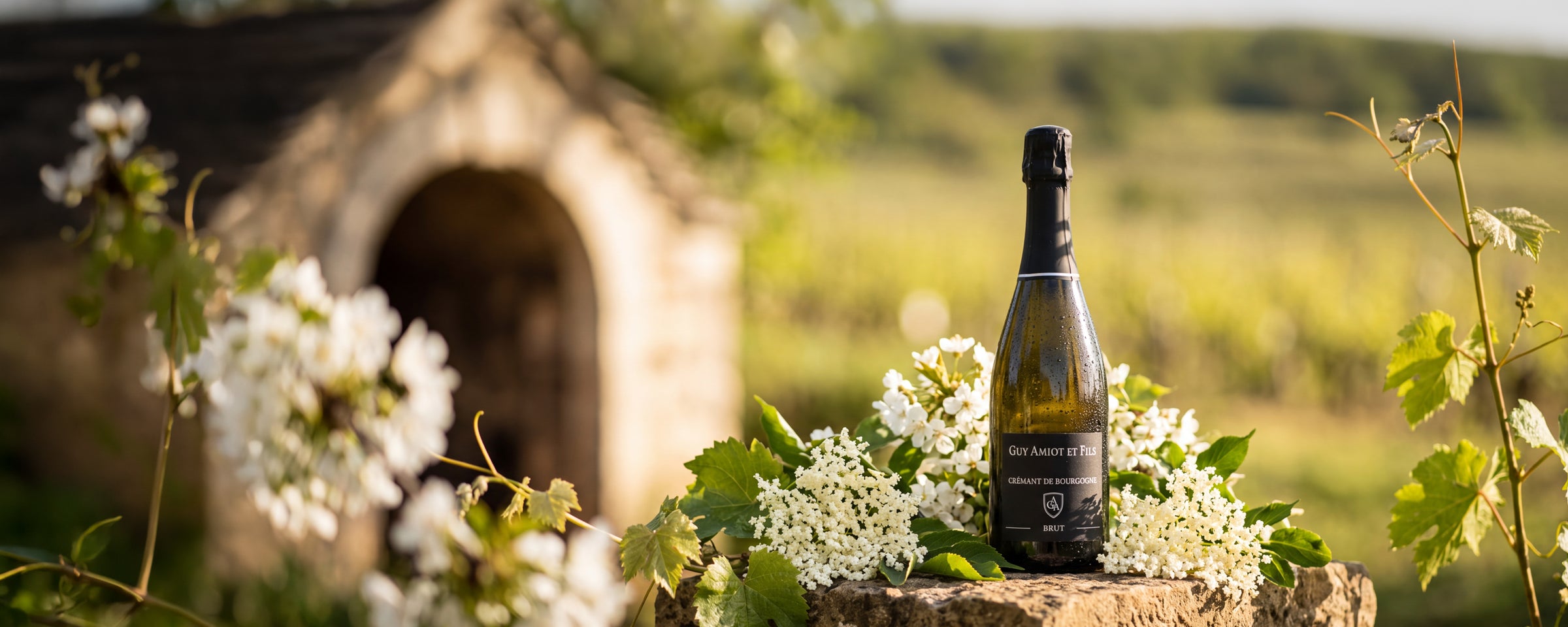 Bobler fra Bourgogne
